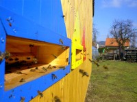 /album/prolet-2009/p1000419-jpg/