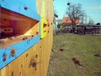 /album/prolet-2009/p1000417cb-jpg/