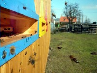 /album/prolet-2009/p1000417-jpg/