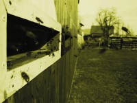 /album/prolet-2009/p1000416-jpg/