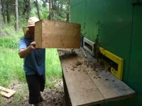 /album/medobrani-2009/a14-jpg/